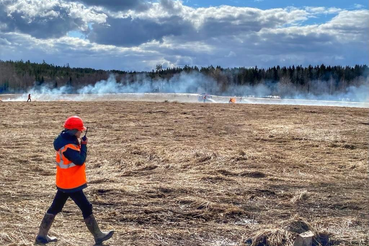 О завершении пожароопасного сезона в лесах на территории Ленинградской области