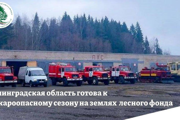 Ленинградская область готова к пожароопасному сезону 2024 года