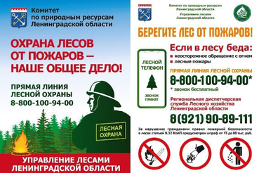 В Ленинградской области установлено начало пожароопасного сезона