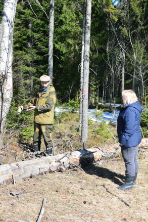 Лесопатологи совместно с учёными вновь провели осмотры в 29 квартале Ореховского участкового лесничества