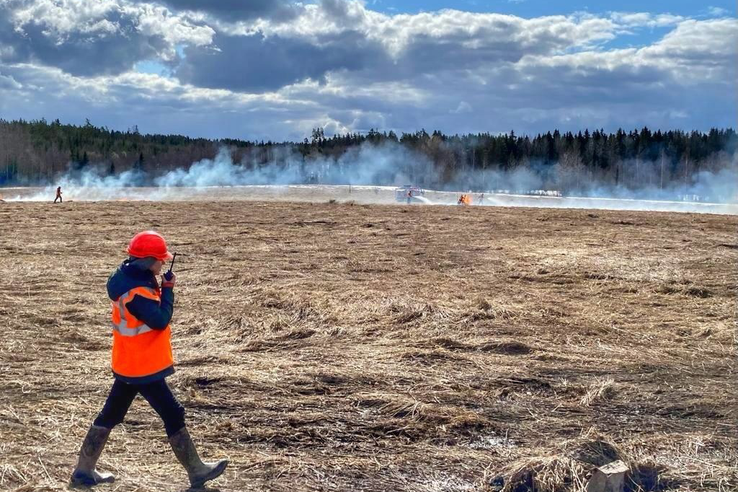 О завершении пожароопасного сезона в лесах на территории Ленинградской области