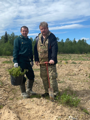 В Ленинградской области прошёл Всероссийский день посадки леса