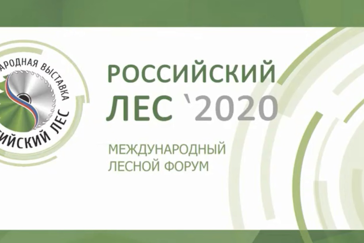 Международный лесной форум в Вологде
