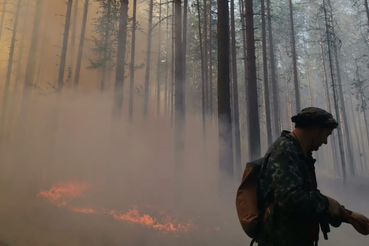 О работах по тушению лесного пожара в Волосовском районе Ленинградской области