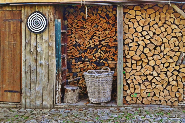 Полезная информация о заготовке древесины для собственных нужд в Лениградской области
