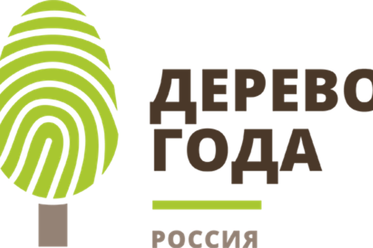 Ленинградская область – участник конкурса   Российское дерево года 2021!