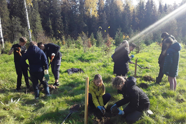 В Ленинградской области продолжается акция «Сохраним лес»