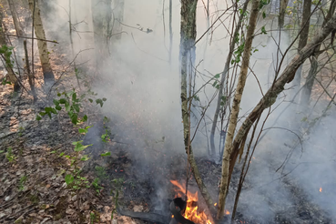 Тушение лесных и ландшафтных возгораний на территории Назиевского городского поселения