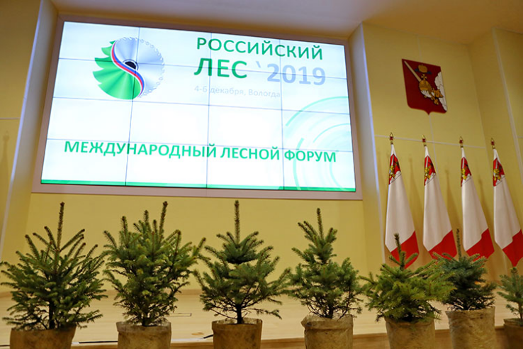 Участие в международном форуме «Российский лес»
