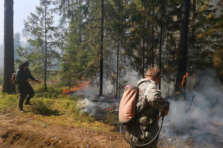 В Ленинградской области завершился пожароопасный сезон