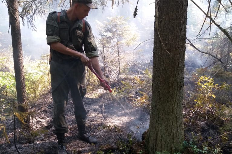 Лесные пожарные на защите леса от возобновления огня в Ломоносовском районе