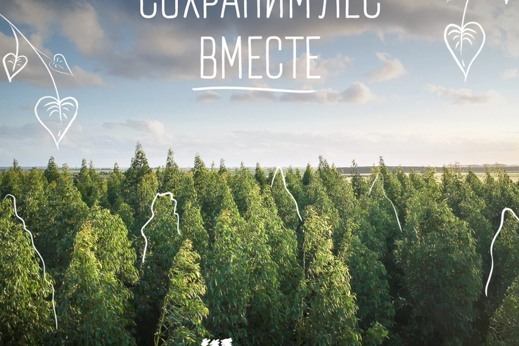 Сохраним лес – 2022