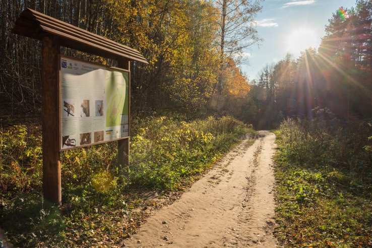 Приглашаем всех желающих на бесплатную экскурсию по экологическому маршруту «Лесная тропа»