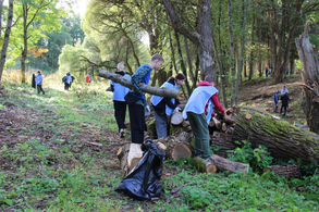 В преддверии Дня работников леса в лесопарке им. П.Г. Антипова в Волхове состоялся субботник