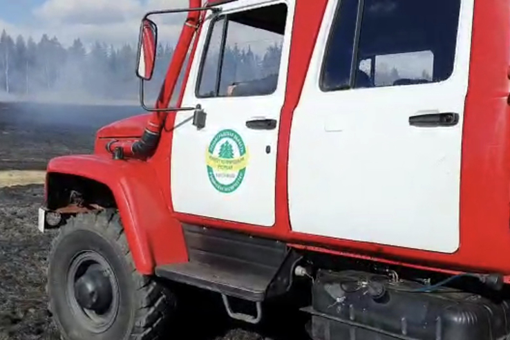 В Ленинградской области открыт пожароопасный сезон