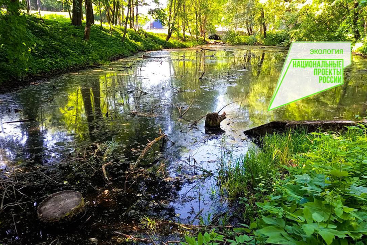 Нацпроект Экология: область расчистит озёра Чёрное, Филькино и ручей Безымянный