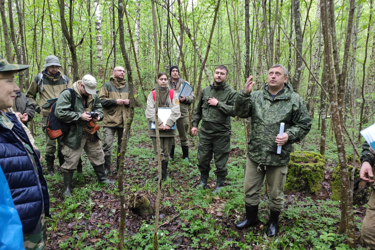 В Ленинградской области завершился период весенних коллективных тренировок по таксации лесов